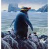 GREENWICH: Стародавня ДНК виявляє втрачені види пінгвінів