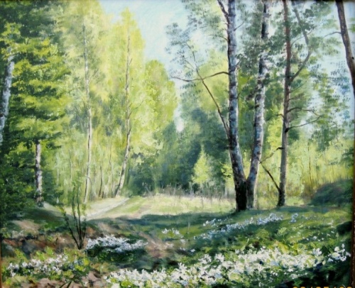 Солнечный Май в лесу