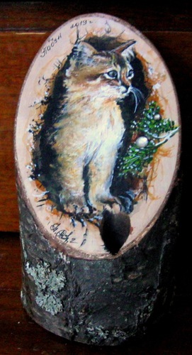 Котёнок в дупле