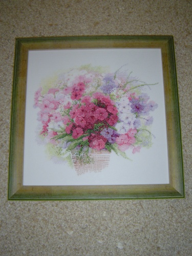 Флоксы Акварельные