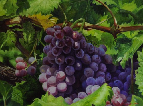 Виноград.Богатый урожай 