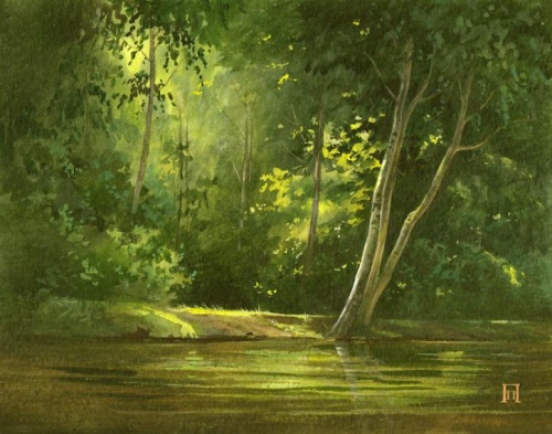 Берег лесного озера