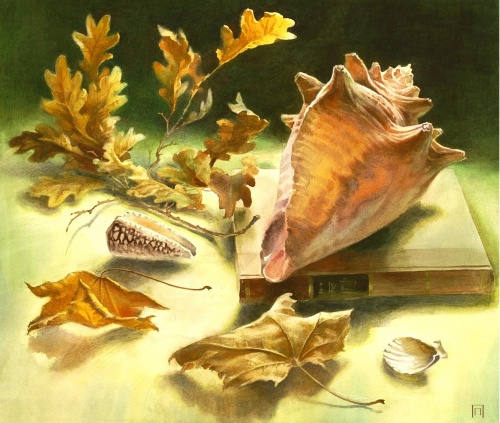 Натюрморт с раковиной