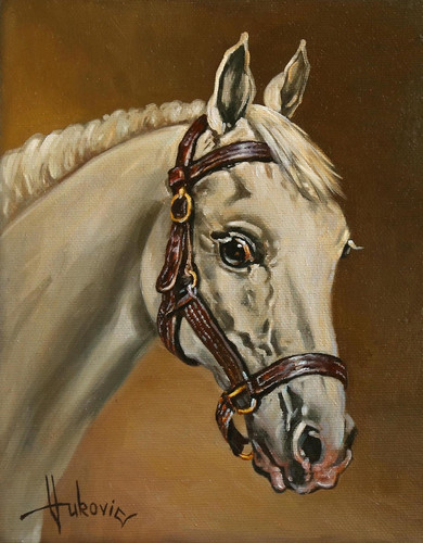 Белая лошадь -   портрет