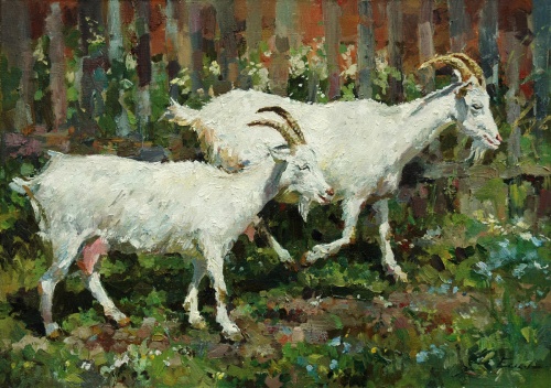 Белые козы
