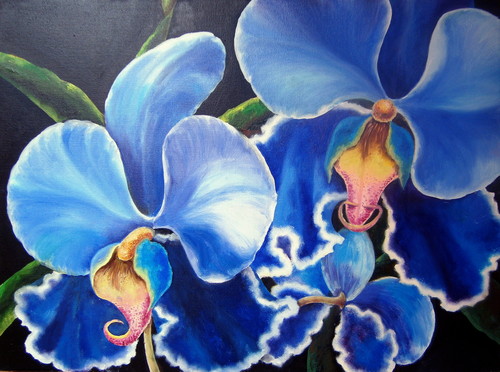 Орхидеи синие