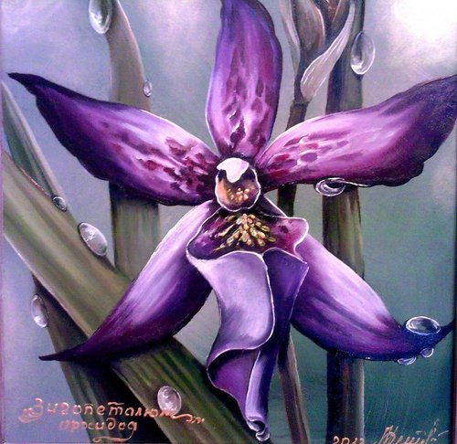 "Орхидея"