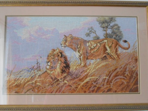 "АФРЫКАНСКИЕ ЛЬВЫ"